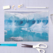 IJs in Antarctica Tissuepapier (Craft)