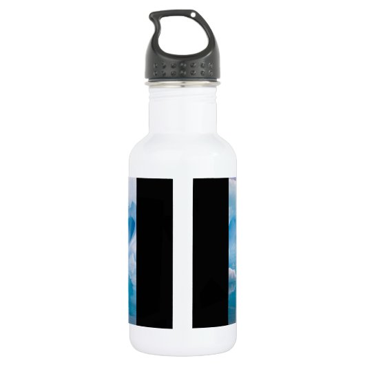 IJs in Antarctica Waterfles (Achterkant)