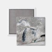 IJs op de Grote Meren, Verenigde Staten. Magneet (Voorkant / Achterkant)