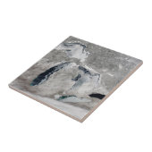 IJs op de Grote Meren, Verenigde Staten. Tegeltje (Zijkant)