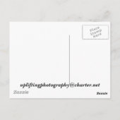 IJs op de rotsen Briefkaart (Achterkant)