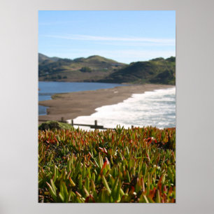 IJs Plant, Beach, golven (portret) Poster