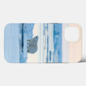 Ijs & Sneeuw | Ijsbeer Ijsberg Noorwegen Case-Mate iPhone Case (Achterkant (horizontaal))