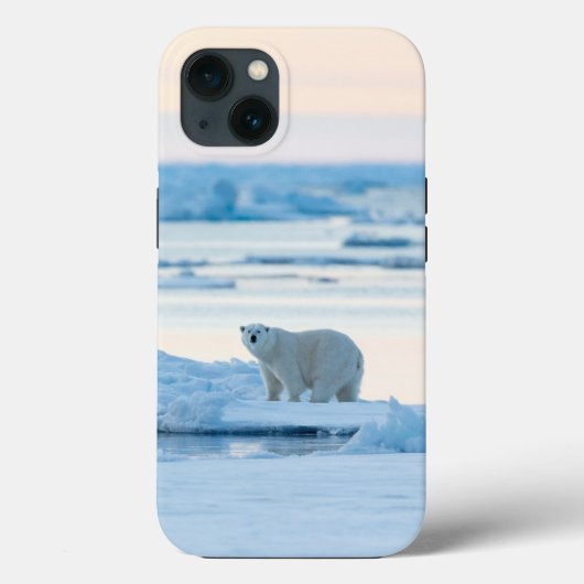 Ijs & Sneeuw | Ijsbeer Ijsberg Noorwegen Case-Mate iPhone Case (Achterkant)