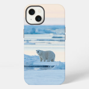 Ijs & Sneeuw Ijsbeer Ijsberg Noorwegen iPhone 13 Hoesje