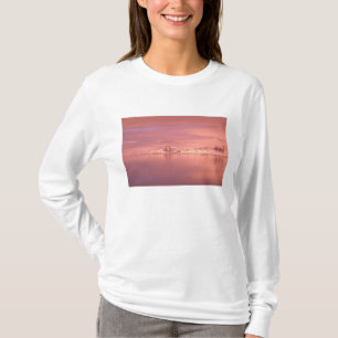 Ijs, Sneeuw, Ijsbergen in de kanalen langs de T-shirt
