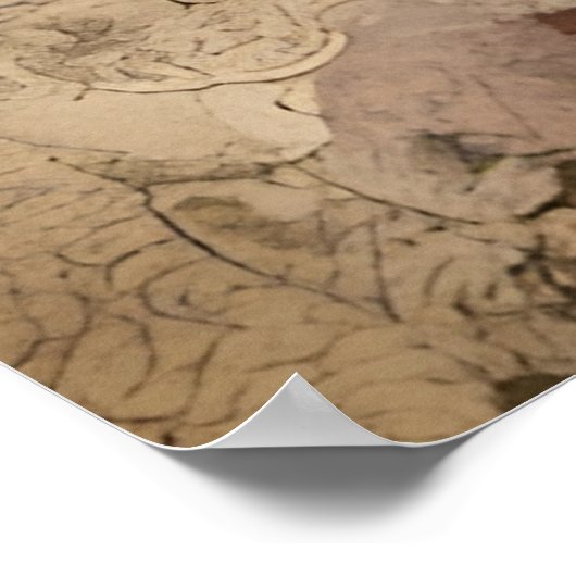 IJs Sundae Collage Poster (Hoek)