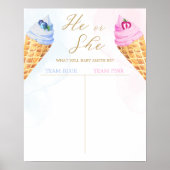 IJs thema jongen of meisje Geslacht Onthullen stem Poster (Voorkant)