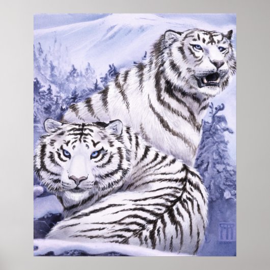 Ijs Tijgers afdruk Poster (Voorkant)