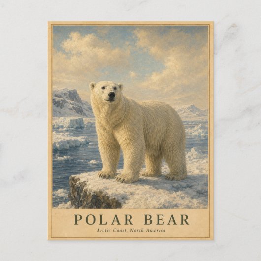 IJsbeer Arctische Kust VINTAGE Briefkaart (Voorkant)