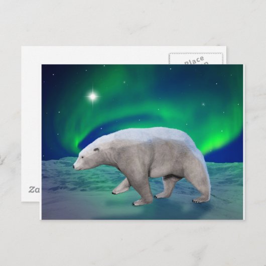 Ijsbeer Briefkaart (Voorkant / Achterkant)