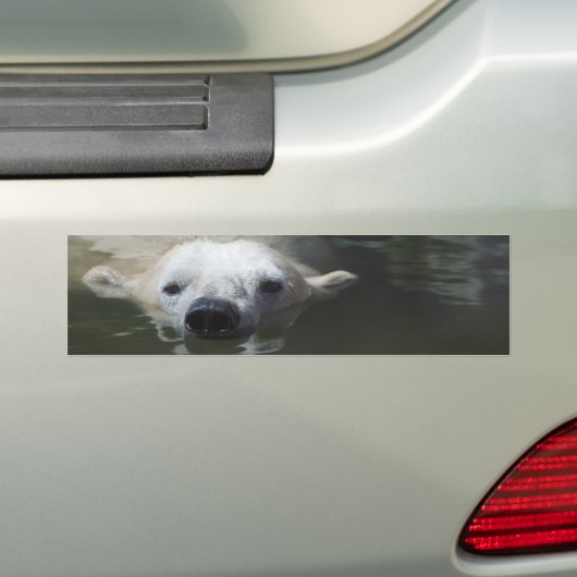 IJsbeer Bumpersticker (Op auto)