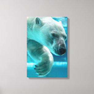 IJsbeer Duikt Heldere Blauwe Water (Portret) Canvas Afdruk