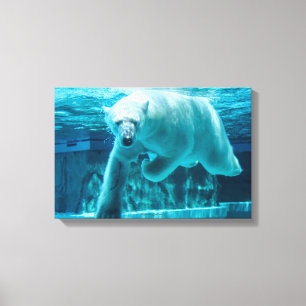 Ijsbeer duikt in helder blauw water (Landschap) Canvas Afdruk