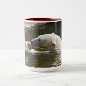 Ijsbeer eet fruit in water mok (Midden)