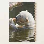 Ijsbeer Eet Fruit Organizer (Achterkant)