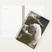 Ijsbeer Eet Fruit Organizer (Display)