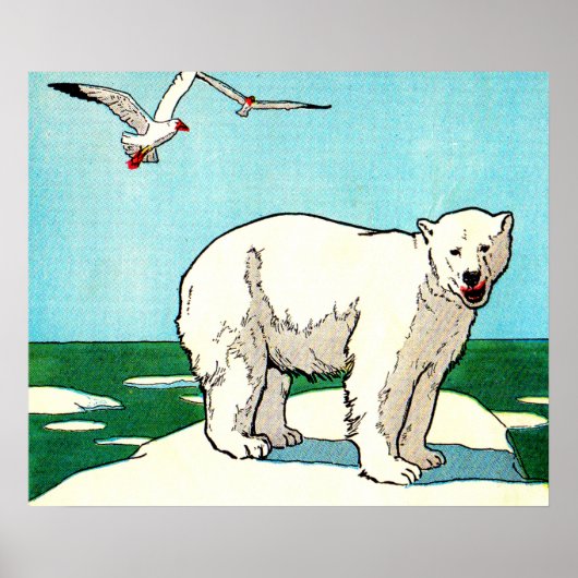 ijsbeer en zeemeeuwen poster (Voorkant)