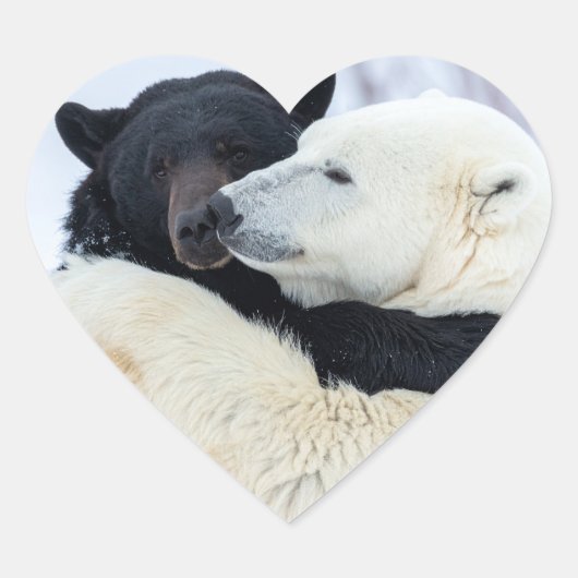Ijsbeer en zwarte beer knuffelen hart sticker (Voorkant)