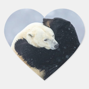 Ijsbeer en zwarte beer knuffelen hart sticker