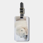 Ijsbeer in de winter bagagelabel (Voorkant verticaal)