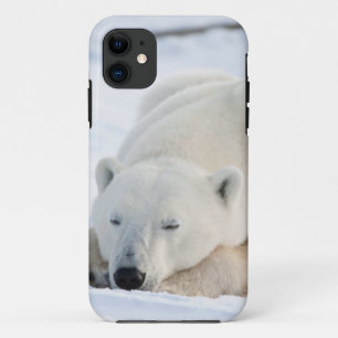 Ijsbeer in de winter Case-Mate iPhone case