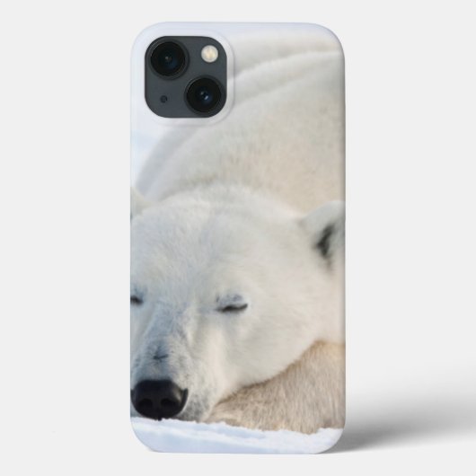 IJsbeer in de winter Case-Mate iPhone Case (Achterkant)