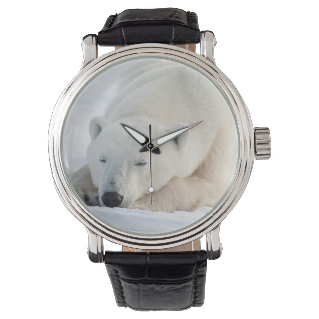 Ijsbeer in de winter horloge (Voorkant)