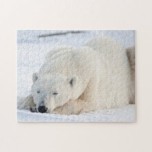 Ijsbeer in de winter legpuzzel