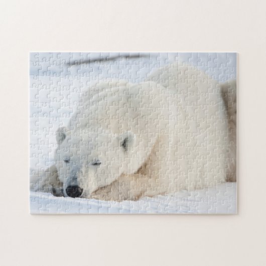 Ijsbeer in de winter legpuzzel (Horizontaal)