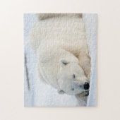 Ijsbeer in de winter legpuzzel (Verticaal)
