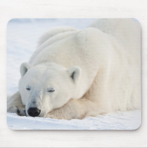 Ijsbeer in de winter muismat