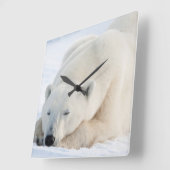 Ijsbeer in de winter vierkante klok (Hoek)