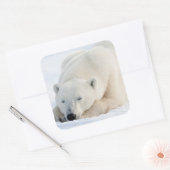 Ijsbeer in de winter vierkante sticker (Envelop)