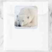 Ijsbeer in de winter vierkante sticker (Tas)