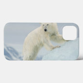 Ijsbeer in de zomer Case-Mate iPhone case (Achterkant (horizontaal))