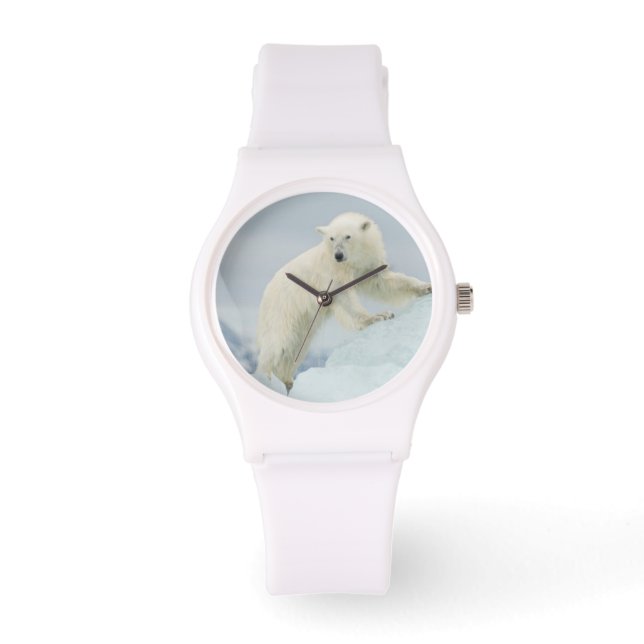 Ijsbeer in de zomer horloge (Voorkant)