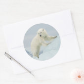 Ijsbeer in de zomer ronde sticker (Envelop)