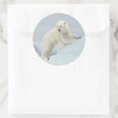 Ijsbeer in de zomer ronde sticker (Tas)