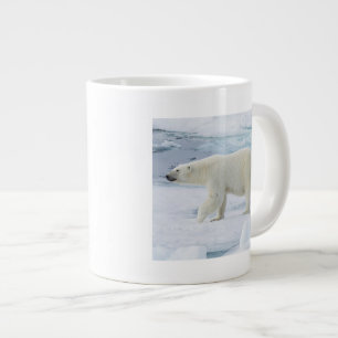 IJsbeer lopend, Noorwegen Grote Koffiekop