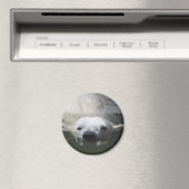 Ijsbeer Magneet (Insitu (Vaatwasser))