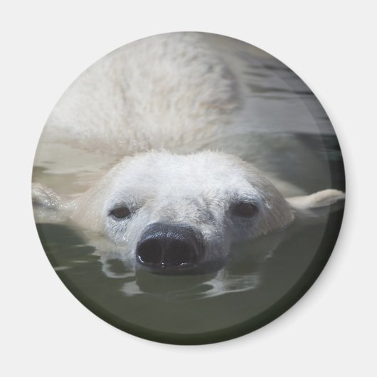 Ijsbeer Magneet (Voorkant)