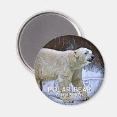 IJsbeer Magneet (Voorkant / Achterkant)