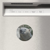 Ijsbeer Magneet (Insitu (Vaatwasser))