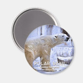 IJsbeer magneet (Voorkant / Achterkant)