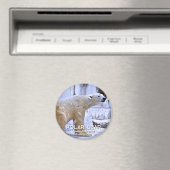 IJsbeer magneet (Insitu (Vaatwasser))