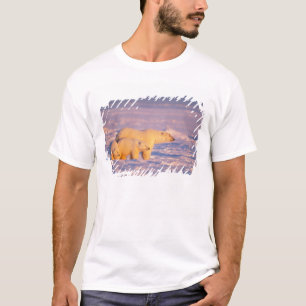 Ijsbeer met lentewelpen op het bevroren t-shirt