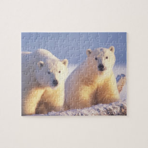 Ijsbeer met welp op pakijs legpuzzel