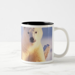 Ijsbeer met welp op pakijs tweekleurige koffiemok