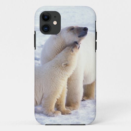 Ijsbeer met welp, pakijs Case-Mate iPhone case (Achterkant)